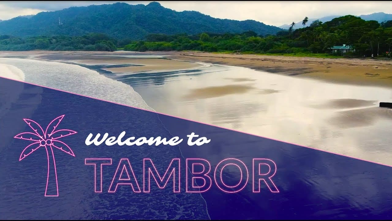 Travel Guide to Tambor, Costa Rica Sheepflight